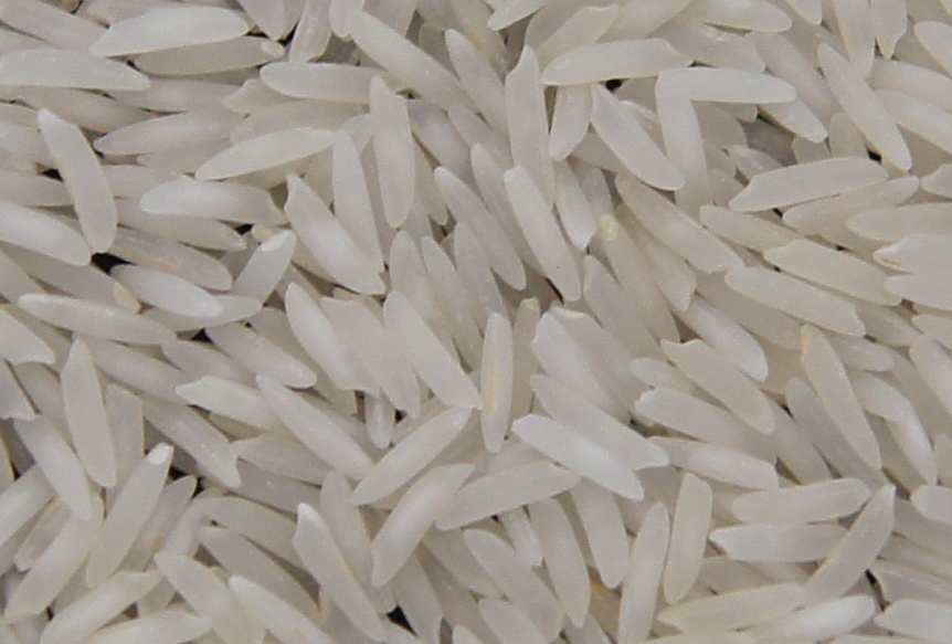  Obtenir Du Riz Sans Soucis Inde Thailand Birman - céréales confiez-nous vos approvisionnements en riz et oubliez vos difficultés antérieures. nous vous apportons la garantie d'une société française immatriculée depuis plus de 25ans. nous avons toutes les qualités de riz extra long grain,  long grain ou rond. r