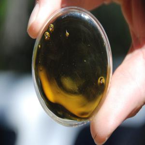  Affiner Miel Pour La Vente - produits sucrés nous sommes sont des fabricants de bien affiner miel de d'abord class&eacute; et le mieux que vous pouvez jamais avoir l'&eacute;chelle nationale--     w e beaucoup avec des acheteurs s&eacute;rieux et nous fournissons le miel l'une quelconque et sous une forme ny si gros ot de petites quantit&eacut