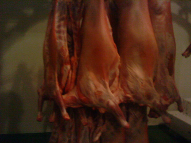  Agneaux Vivants, Agneaux Halal, Origine Espagne - viandes et oeufs association d'&eacute;leveurs,  qualit&eacute; de viande exceptionnelle,  --s&eacute;lection g&eacute;n&eacute;tique,  disposons de notre abattoir,  tra&ccedil;abilit&eacute; et haccp,  carcasses 10-13kg et 13-16kg,  13-19kg,  halal, capacit&eacute; abattage 1000/jour,  recherchons clients s&eacute;rieux pou