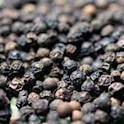  Quality Cloves,ginger,garlic And Turmerics Availa - épices aromates  we offer 2011 crop year organic cloves and we offer top qaulity as we always strive to serve our customers with the best services. our competitive and affordable prices have given us a good reputataion in the international markets as meeting our clients needs at low cost.---- ----we look forward to