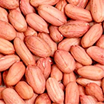 Arachides, En Toutes Les Formes Vendre - céréales caractéristiques----1) arachide pour la vente--2) meilleure qualité--3) une livraison rapide--4) prix raisonnable