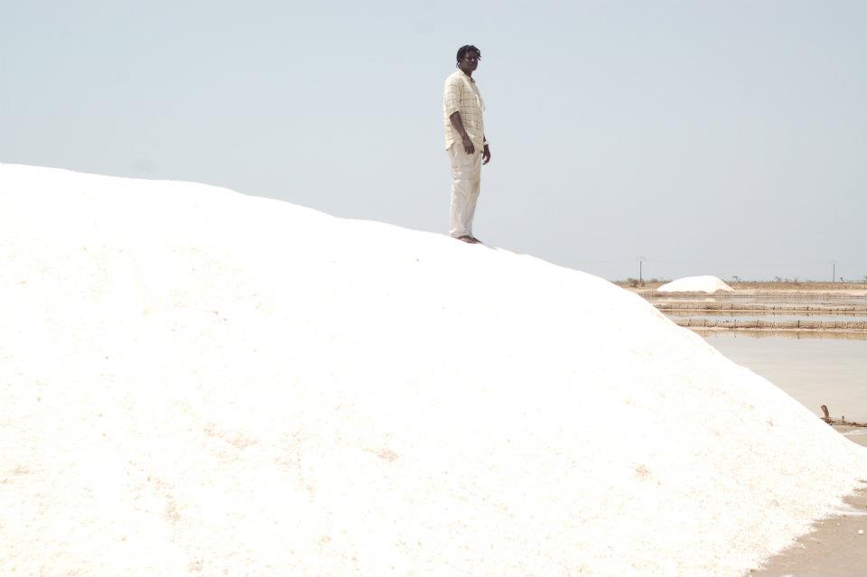  Sel Iode Vendre - épices aromates entreprise qui produit du sel de bonne qualit&eacute; et qu'il vend &agrave; des prix abordables,  vous en voulez,  alors n'esitez pas a nous contacter 