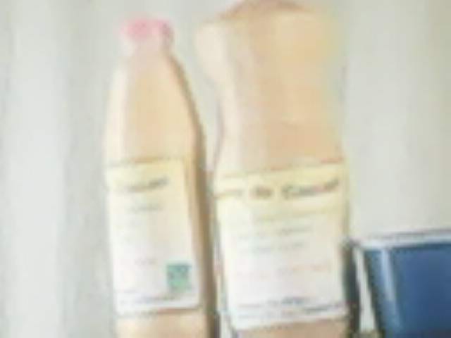  Huile De Palmiste Beurre De Cacao - huiles nous sommes un gic et nous poduisons les huiles de palmistes rt les vendons brut. nous fabriquons le savon de menage et toilette anti moustique. nous produisons aussi le beurre de cacao