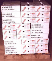  Societe Propose Des Mangues Kent - fruits et légumes société sénégalaise propose des mangues kent avec possiblitée de plusieurs contener. pour plus d'information vueillez nous contacter.