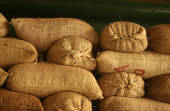  Stock Exporte - café cacao thé nous exportons des produits en provenance de la cote divoire vente en fob pour plus de renseignement contacter nous svp