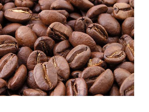  Produits Oléagineux Et Café Cacao - aliments pour animaux nous somme une société au togo. nous voudrions par ce message vous proposer nos produits biologiques qui sont- café robusta ,  cacao qualité supérieure,  soja,  arachide; karité,  ainsi que des tourteaux comme tourteaux de soja,  de palmiste,  de coton et huile br