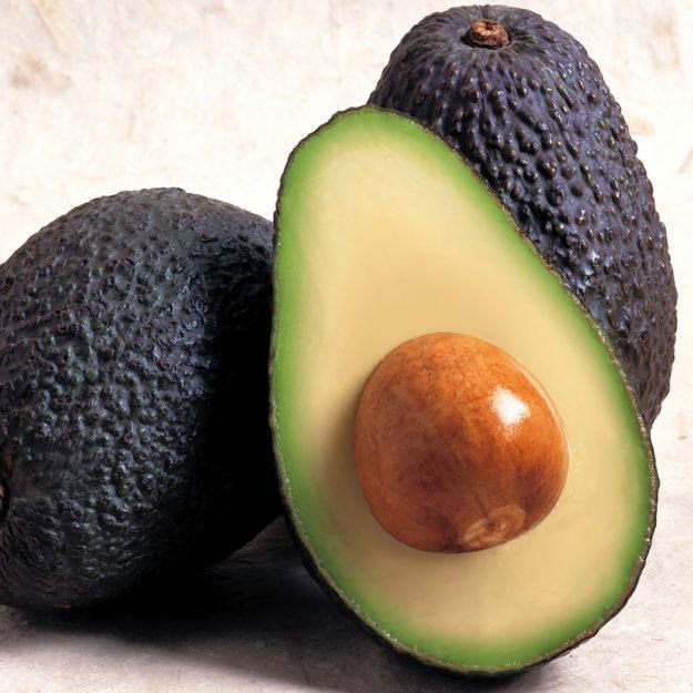  Avocat Premier Qualite Du Mexique - fruits et légumes groupe de producteurs agricoles au mexique vous offre des produits de première qualité sur le marché européen,  citron vert,  avocat vanille,  mangue mexicaine ataulfo,  piments entre autres.----