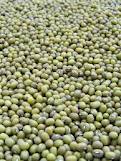  Du Soja De Bonne Qualité - semence graine plant je suis commmerçant à savalou/bénin spécialisé dans l'achat et vente de soja de bonne qualité.toute personne intéressée par ce produit est priée de me contacter. la saison de soja bat son plein ici et je suis pret à vous fournir t