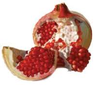  Grenade Pour Faire Jus De Grenade - fruits et légumes a vendre de 60 a 150 tonnes de grenade non traites pour jus de grenade ou table meilleurs qualite --