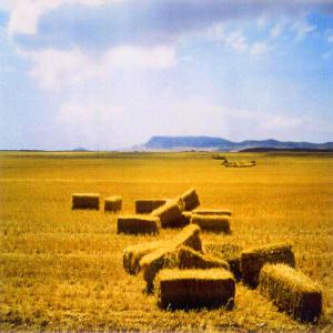  Paille De Blé Bio - aliments pour animaux paille de ble  bio en ballot  de 400kg 0.70 x0.90 x2.40  12 tonne au container prix &agrave; la tonne 178 euros la tonne 