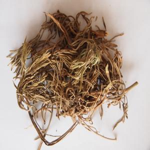  Fournisseur En Gros De Criste Marine, Fenouil Mar - épices aromates bonjour, ----nous somme une société française spécialisée dans la vente en gros (minimum 1 tonne) de criste-marine (fenouil marin ou perce-pierre).--merci de nous contacter pour plus d'informations.----sincères salutations.