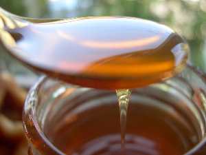  Miel Pur Nouvel Récolte - patisserie bonjour nouvel r&eacute;colte de miel pur tout fleur de cette semaine en dispose d'une quantit&eacute; limit&eacute;  le kg c a 4000da ---- speciale marche algerien