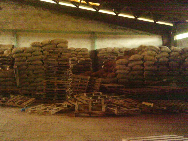  Café Cacao Cotre D'ivoire - café cacao thé nous sommes une coopérative inter régionale exerçant dans le domaine du café et du cacao.--nous disposons de tout genre de café et de cacao.  nous vous prions de nous contacter. 