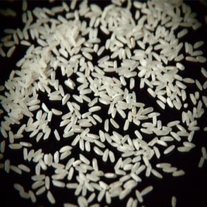  Riz Pakistanais - céréales pakistan long grain white rice 25% broken packed in 50 kg pp bags or 25 kg----nous somme le leader dans l'exportation de riz pakistanais,  exportant plus de 400 000 mt par an----harec is an affiliate of the group of companies,  which is one of the leading business houses in pakistan and is wholly inde