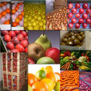  Pommes-poires-kiwis-citrons-oranges-oignons Etc. - fruits et légumes n'h&eacute;sitez pas &agrave; nous consulter.----nous chargeons vos besoins en fruits et l&eacute;gumes frais en combinant palets et containers de divers produits compatibles pour transports maritimes et par avion.----pommes-poires-oranges-citrons-raisins-oignons-carottes-maiz-poireaux-poivrons-frai