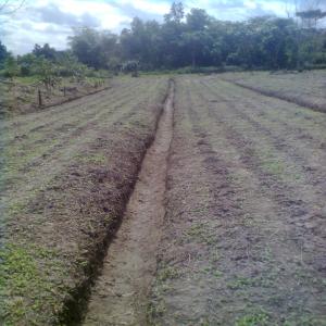  Partenariat Gagnant - fruits et légumes bonjour,  il existe des occasions pour investir sur le territoire ivoirien dans la zone forestière--dans le secteur agricole et passé vers la valorisation des produits--agricoles ,  surtout créer un partenariat pour toucher le marché de travail--et réaliser une produ