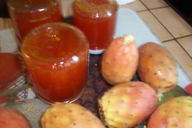  Exploitation De Figue De Barbari - Industrie exploitation je cherche un partenariat spécialiste a l'exploitation de figue de barbarie comme confiture et l'huile cosmétique et beaucoup d'autre chose ,  cette plante existe en grande quantité dans ma région et pas trop cher et très facile a fournir .    