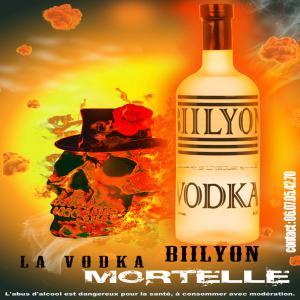  Vodka Premium De Grande Qualité - boisson alcoolisée bouteilles de 0.70 cl très classe 37.5 ° vodka de qualité.--prix de 3.10   hors accise .