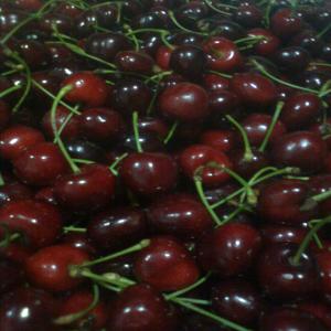 de qualité supérieure chilien cerise - fruits et légumes cher monsieur / madame, --  je veux offrir la cerise du chili. nos cerises sont 60-100 tonnes,  de première qualité. nous allons commencer l'exportation 26. november.2012. boîte est de 5 kg. je suis s'attendent vos nouvelles. nous pouvons charger le fret aérien. --cordialeme