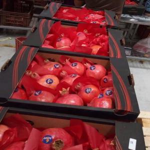  Miel Originale, De Bonne Qualité - patisserie miel originale de bonne qualit&eacute;, origine espagne, on importe &agrave; toute l europe. des prix tr&egrave;s comp&eacute;titif.quantit&eacute; miminale 50kg