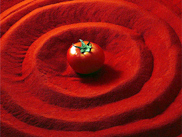  Tomate En Poudre Et Tomate Pelé Et Tomate Sec - fruits et légumes nous sommes sp&eacute;cialiste pour tous les produits de tomate.tres bon qualit&eacute; mais moins ch&egrave;re, si vous voulez plus d'information , n'h&eacute;sitez pas de me contacter .--merci de votre attention 