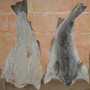 bacalao