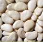 vente haricots - perou