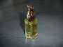 huile argan 