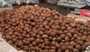 fourniture en noix de coco dessechees