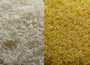 riz prix trés competitif 