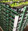 lime (citron vert)
