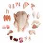 cuisses de poulet congelée  contenaire 40 