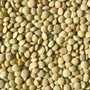 cherche des fournisseurs de caffée 