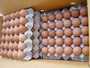 chicken table eggs