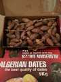 dattes algérienne de tolga