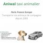 Transport animaux vivants chiens et chats