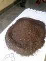  brisures de cacao