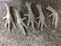 chicken feet and paws grade a