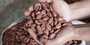 vente de cacao fve et  caf dcortiqu