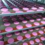 fournisseur de macarons pour les professionnels d
