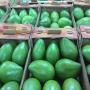 vente de mangue et de l'ananas 
