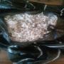 graines de coton 100% naturelle