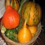 fruits et lgumes du senegal