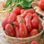 tomates italiennes peles