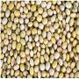 vente de soja bukrina - sale soybeans burkina