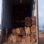 <b>rosewood</b> logs for sale