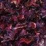 vente de bissap  blanc et  hibiscus sabdariffa