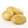 pomme de terre en stock 400 tonnes disponible 