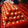 tomate