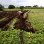bail de domaines agricoles ketou